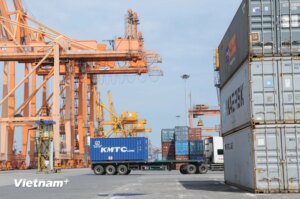 Năm 2024, kim ngạch thương mại hai chiều giữa Việt Nam với thị trường CPTPP ước đạt 102,1 tỷ USD. (Ảnh: Đức Duy)