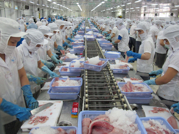 Chế biến thủy sản xuất khẩu. (Ảnh: TTXVN)
